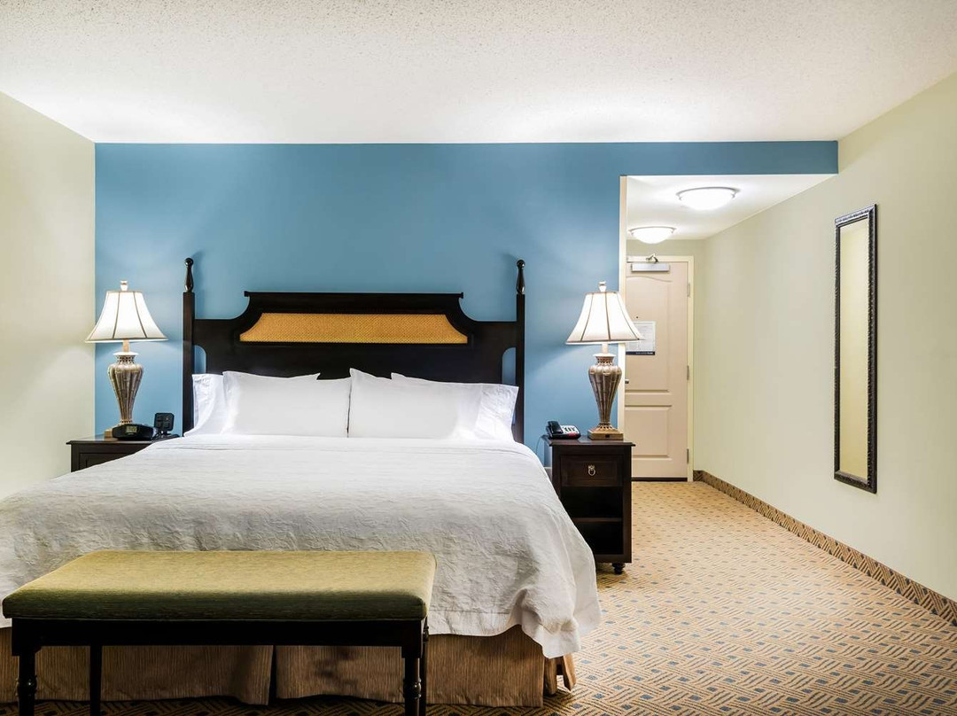 莫拉莱斯水湾希尔顿恒庭酒店主图