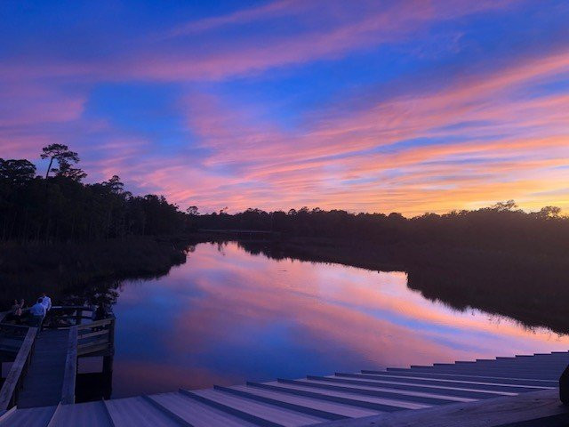 Pascagoula River Audubon Center景点图片