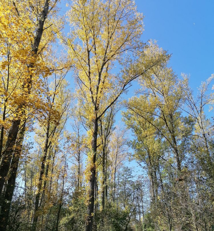 Infohaus Isarmuendung-Moos必去景点