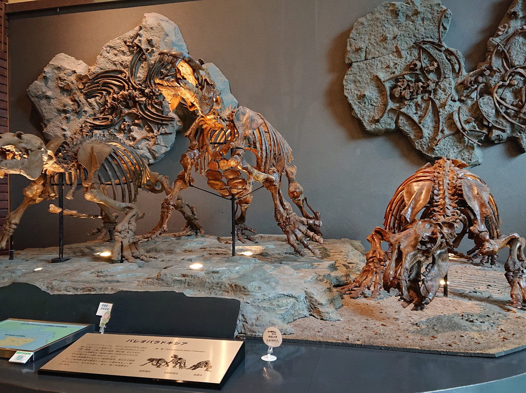 Saitama Museum of Natural History-长瀞町必去景点