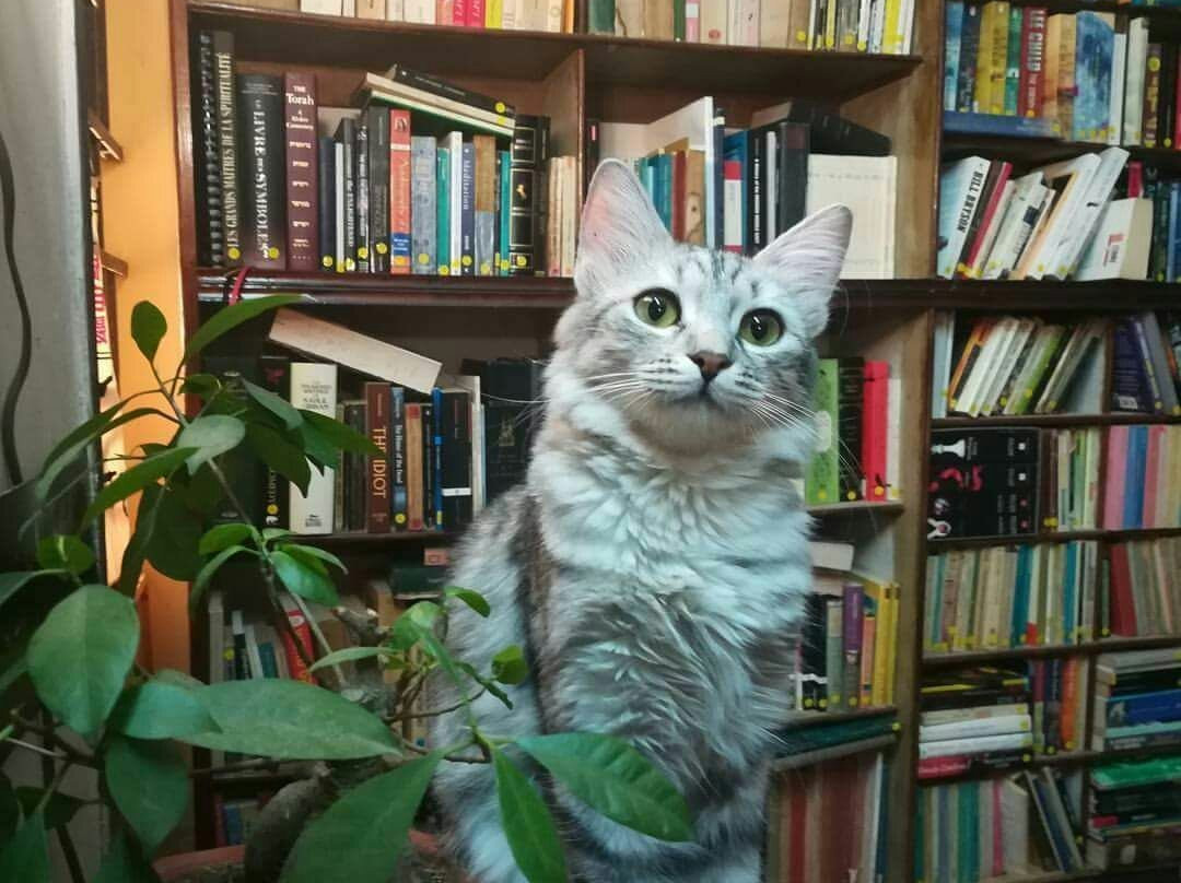 Aleph B-贝鲁特必去景点