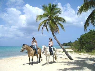 Paul and Jill's Equestrian Stables-圣克鲁斯必去景点