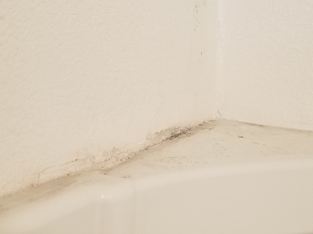 圣马特奥SFO机场酒店主图