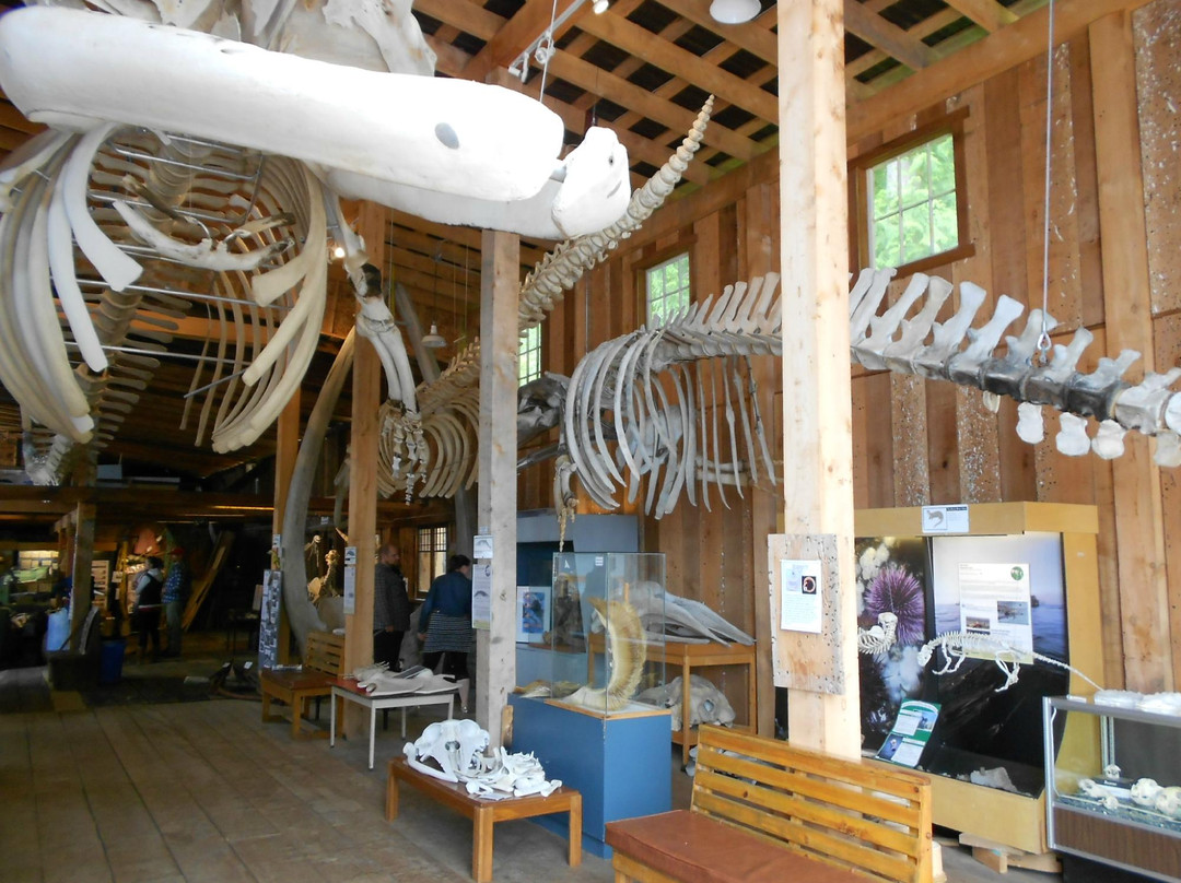 The Whale Interpretive Centre景点图片