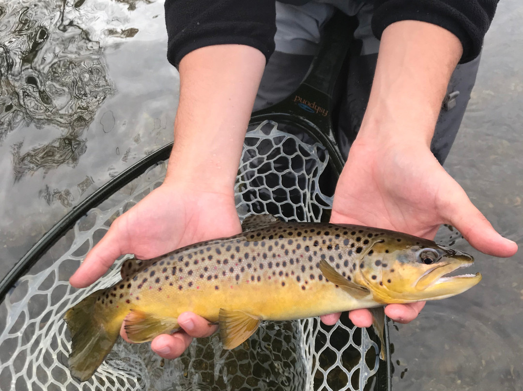 Berkshire Rivers Fly Fishing景点图片