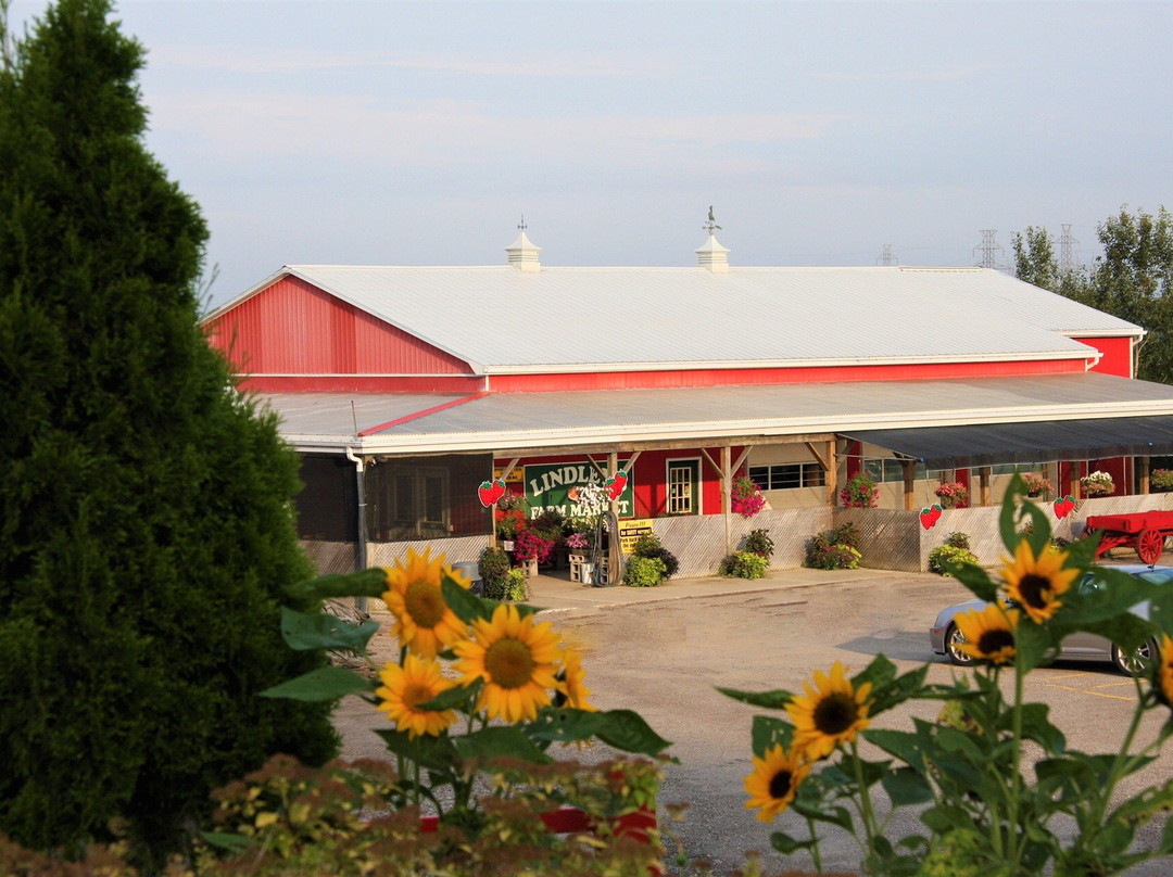 Lindley’s Farm & Market景点图片
