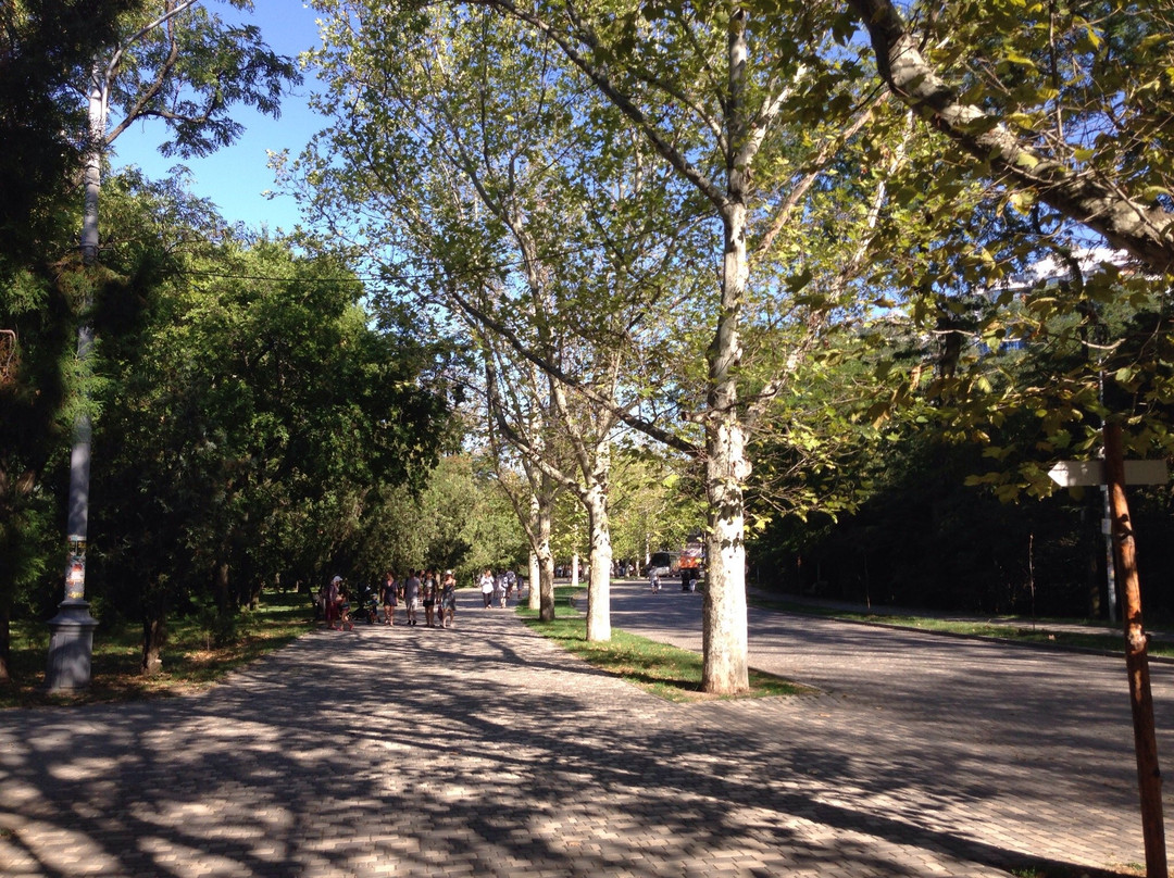 T. Shevchenko Central Park of Culture and Recreation-敖德萨必去景点