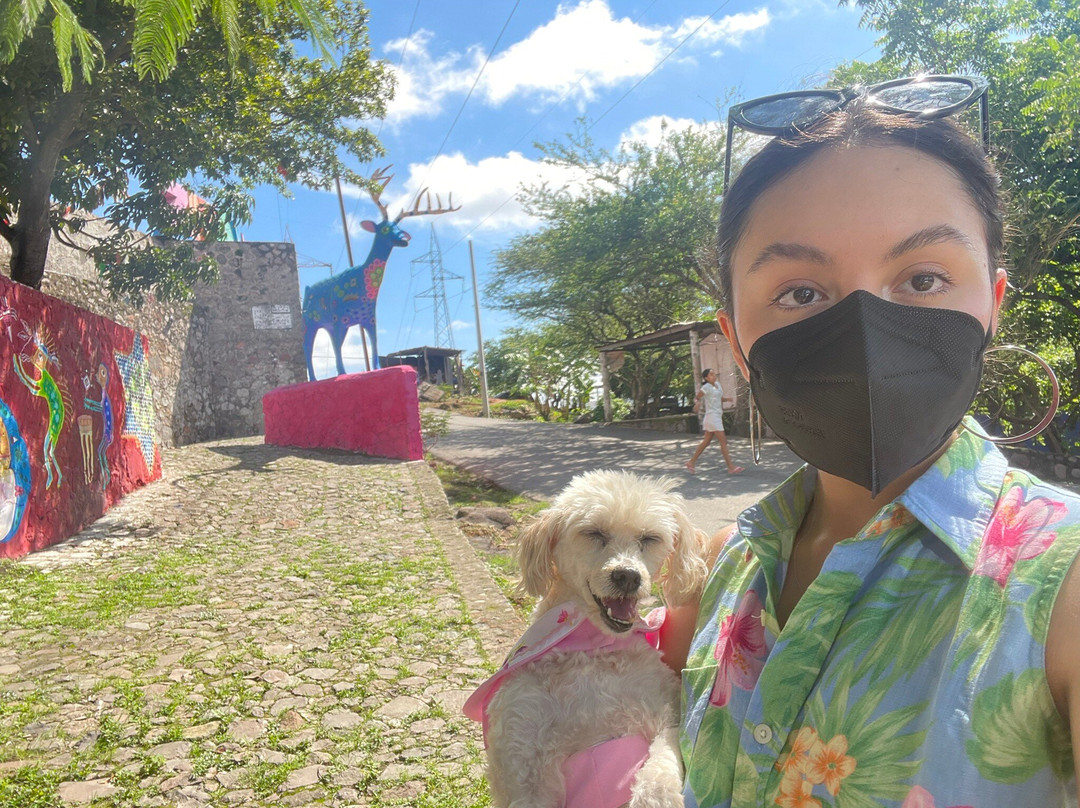 Mirador De La Zitakua