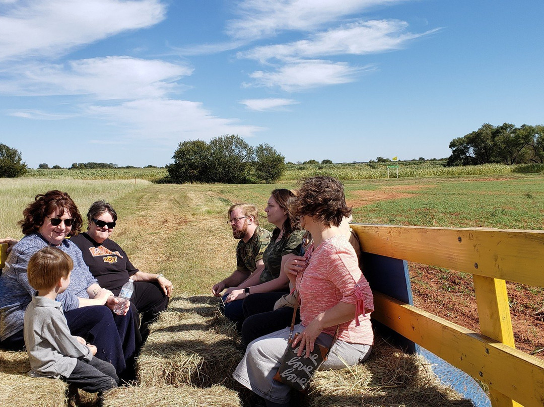 Daze in a Maze-Enid必去景点