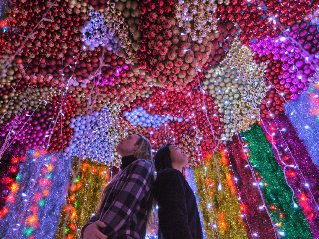 Absurd Conclave-布鲁克林必去景点