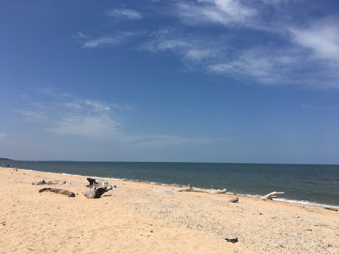 Central Beach景点图片
