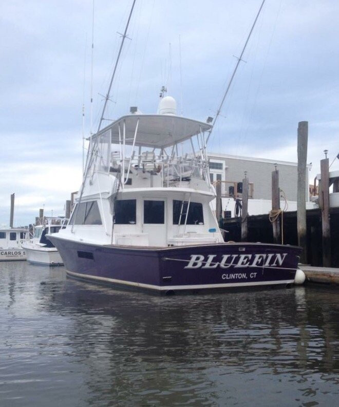 Bluefin Sportfishing Charters景点图片