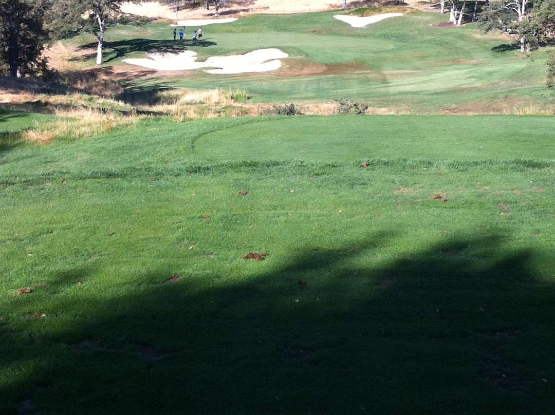 Saddle Creek Golf Course景点图片
