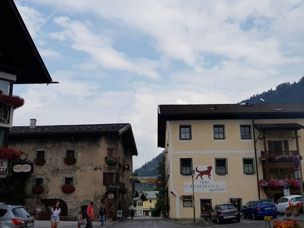 Hotel Grimming dogs&friends主图