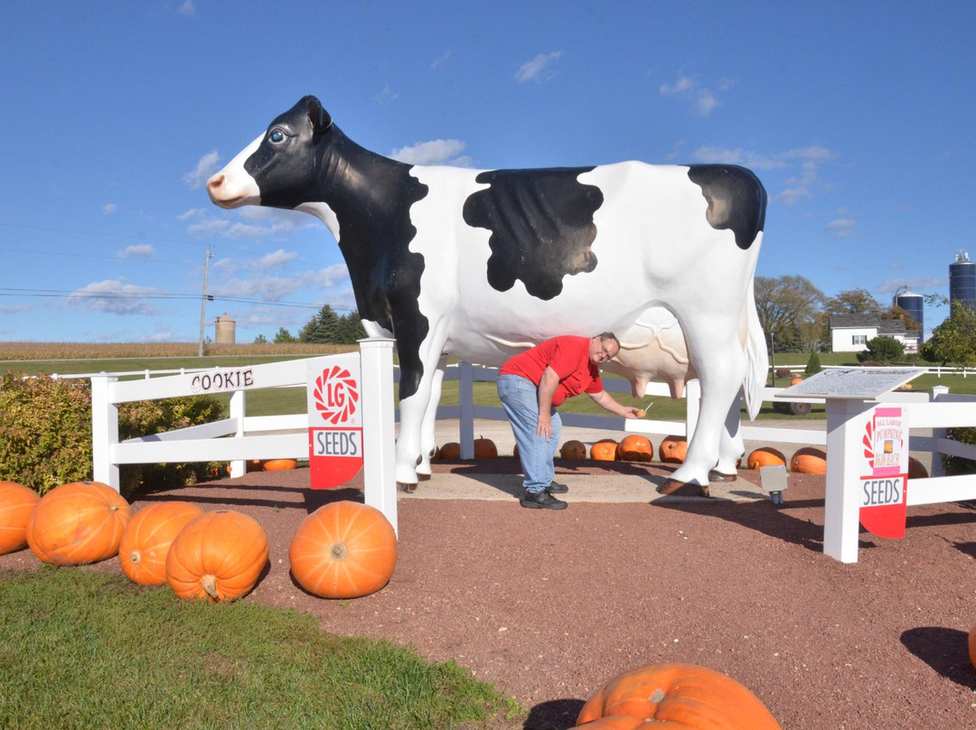Dairy View-斯特金贝必去景点