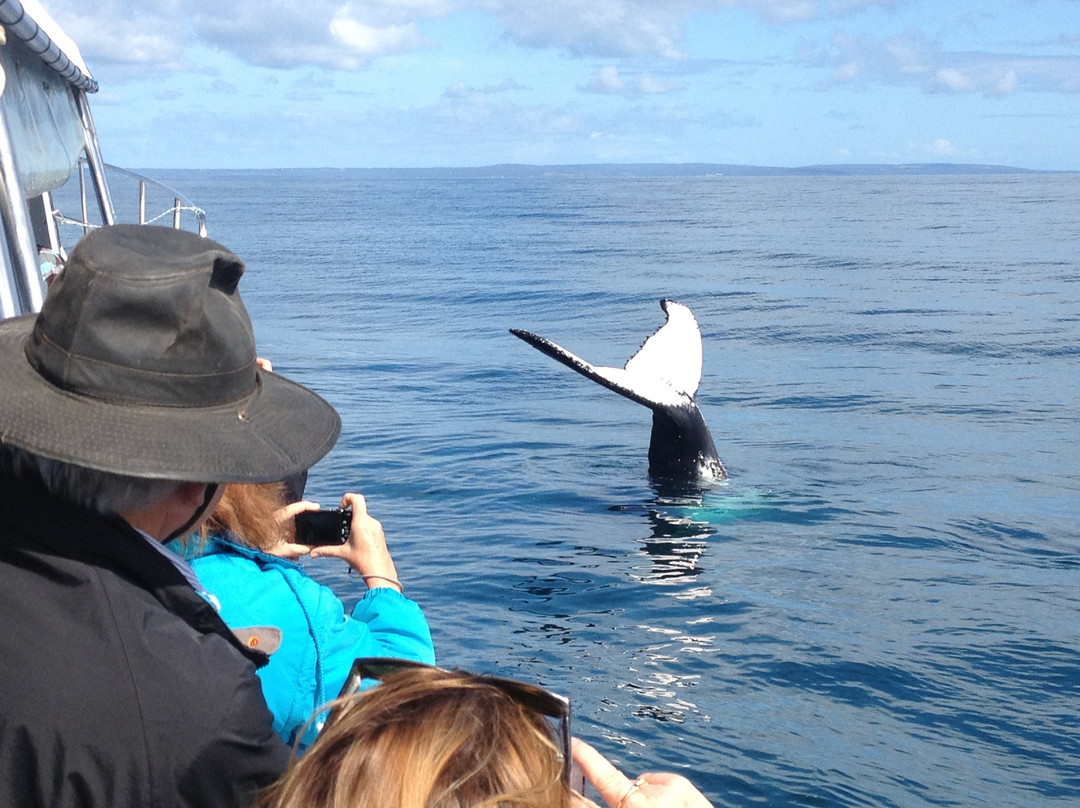 Legend Charters-戴士柏必去景点