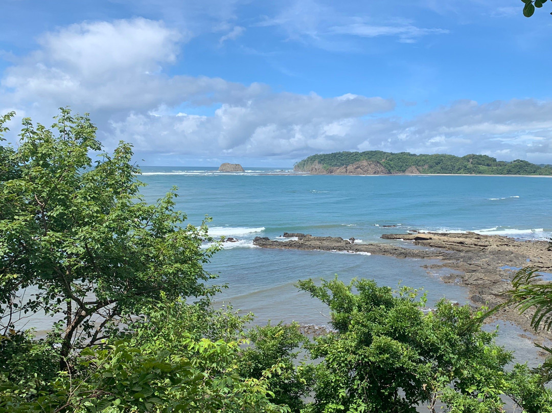 Costa Rica Monkey Tours -  Day Tours景点图片