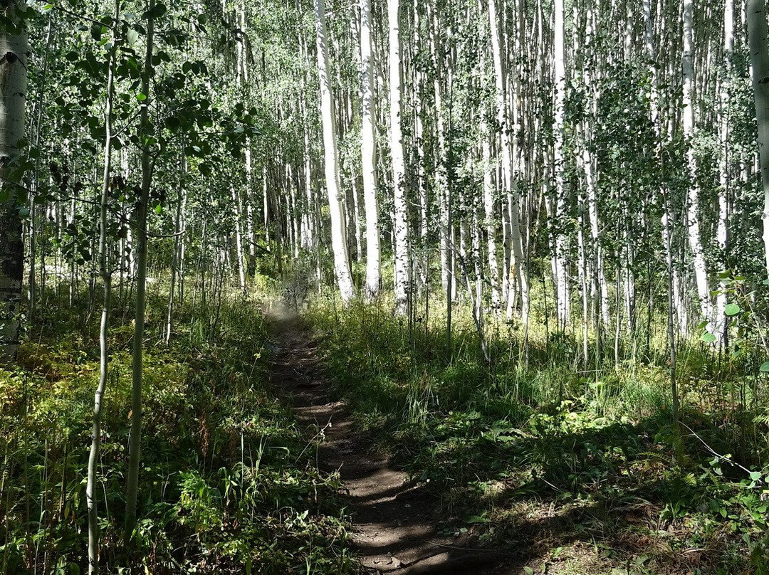 American Lake Trail-阿斯蓬必去景点