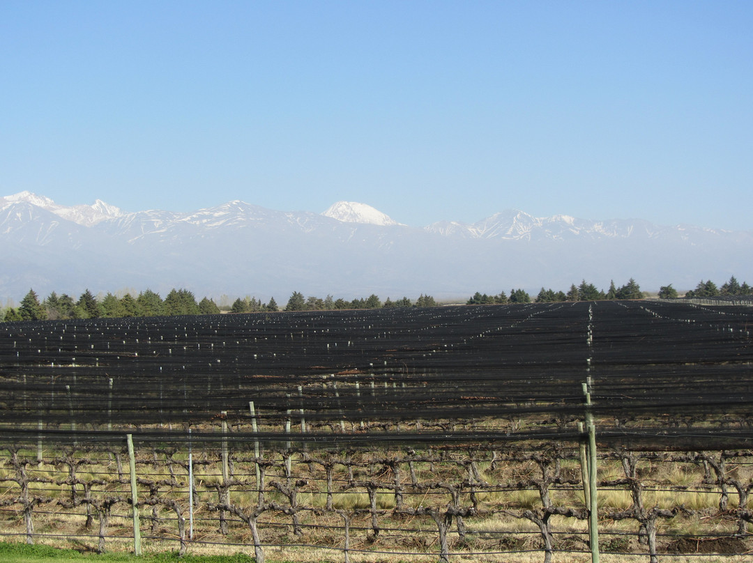 Mendoza Journeys景点图片