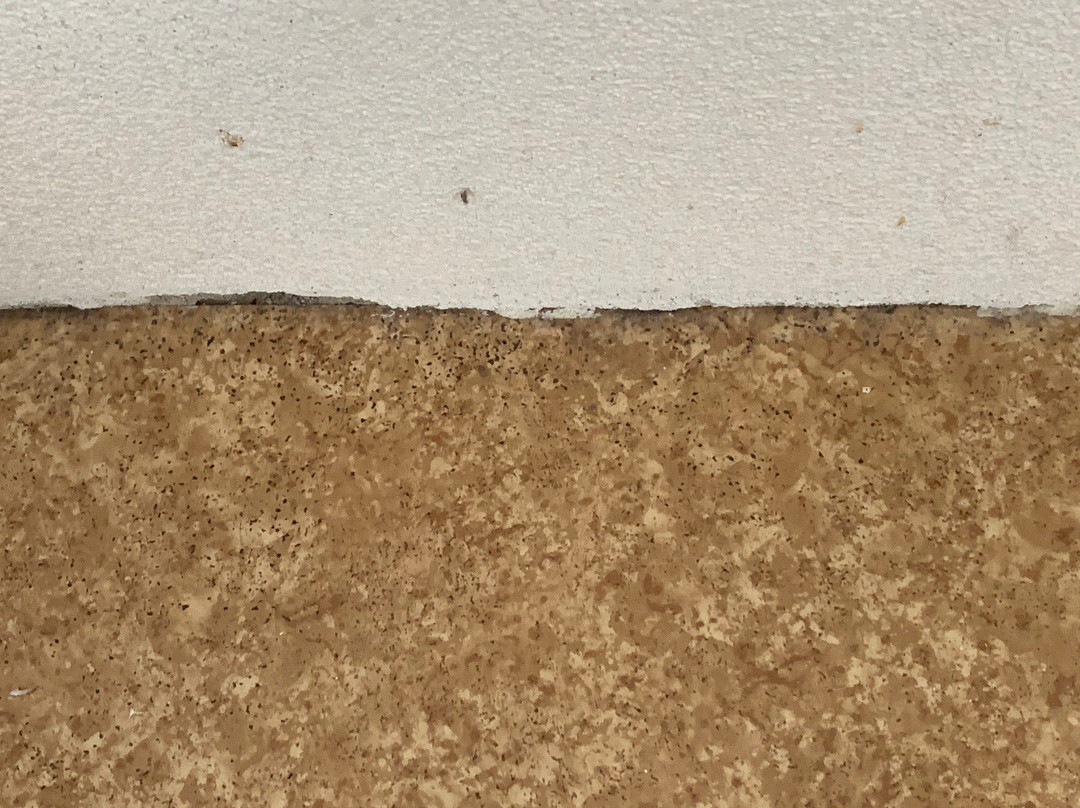 弗兰克斯顿旅馆主图