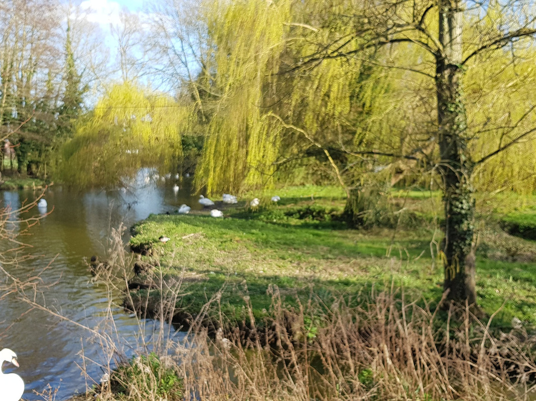 Sudbury Water Meadows景点图片