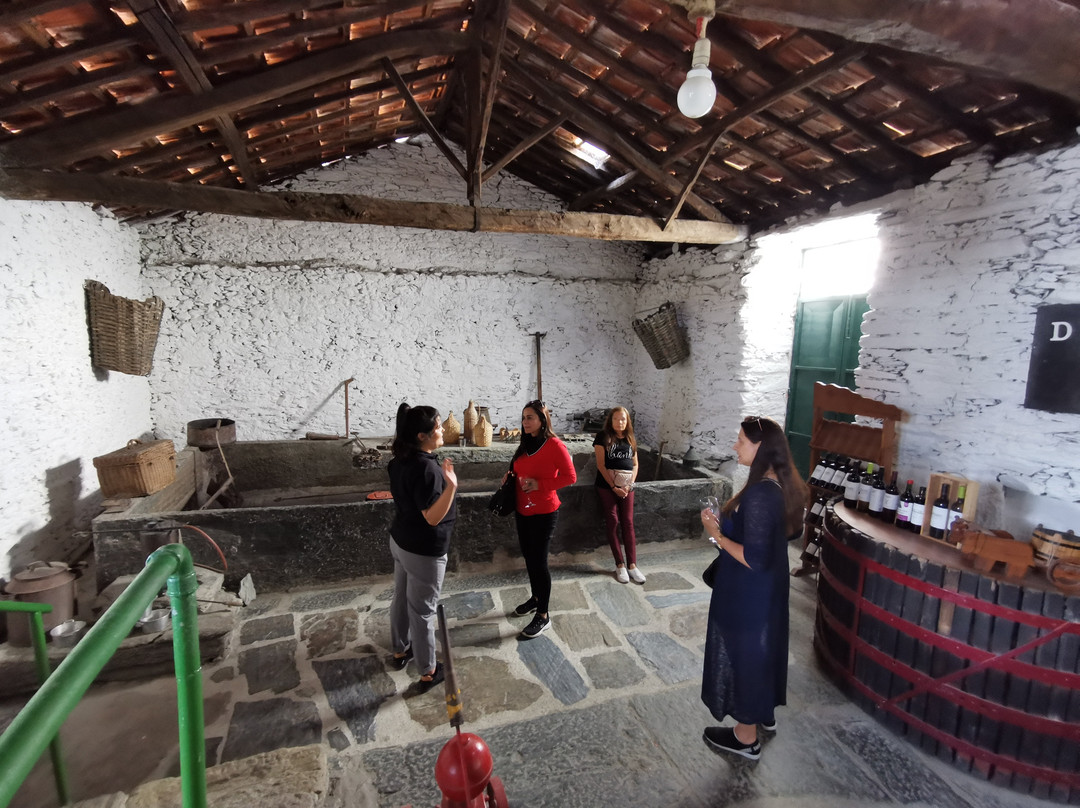 Luxury Douro Tours景点图片