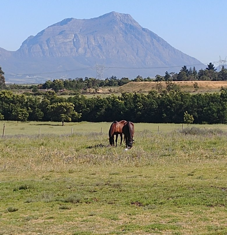 Horse About Trails景点图片