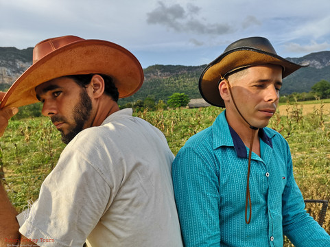 Cuban Cowboy Tours-维纳勒斯必去景点