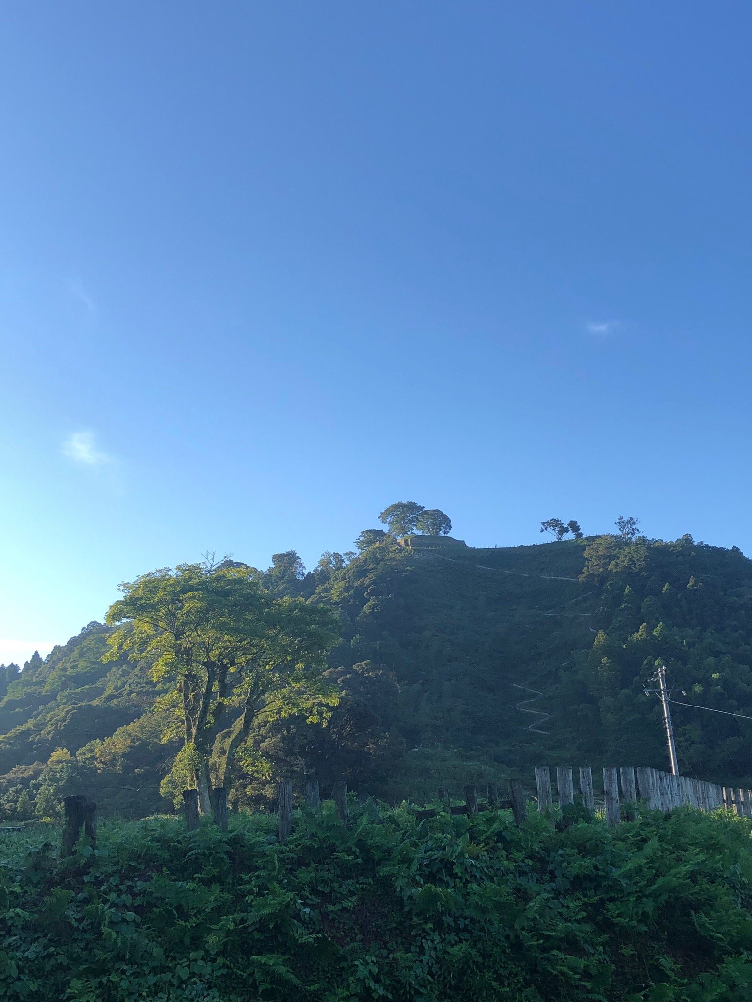 Toda Sanso-官方