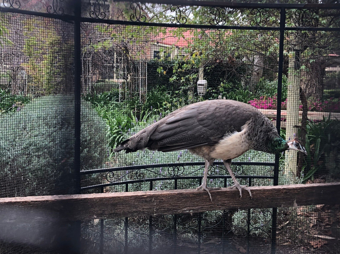 Dawes Road Fire Trail