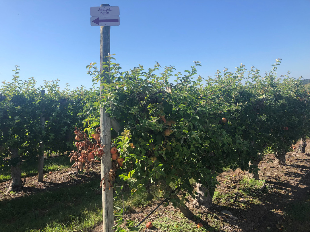 Lookout Farm-内蒂克必去景点