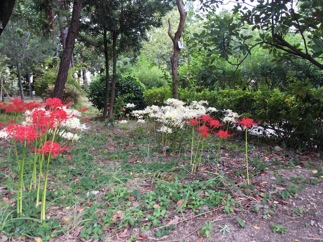 Kamisakabenishi Park-尼崎市必去景点