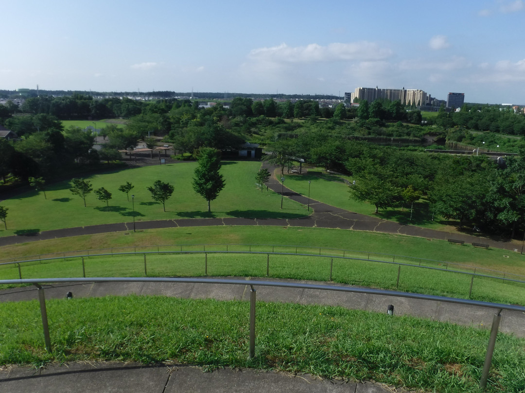 Makinohara Park-印西市必去景点