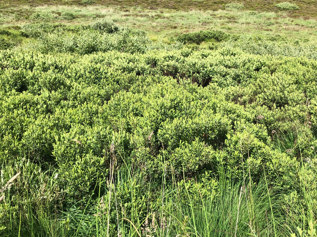 Klosterheden Plantage-累姆维必去景点