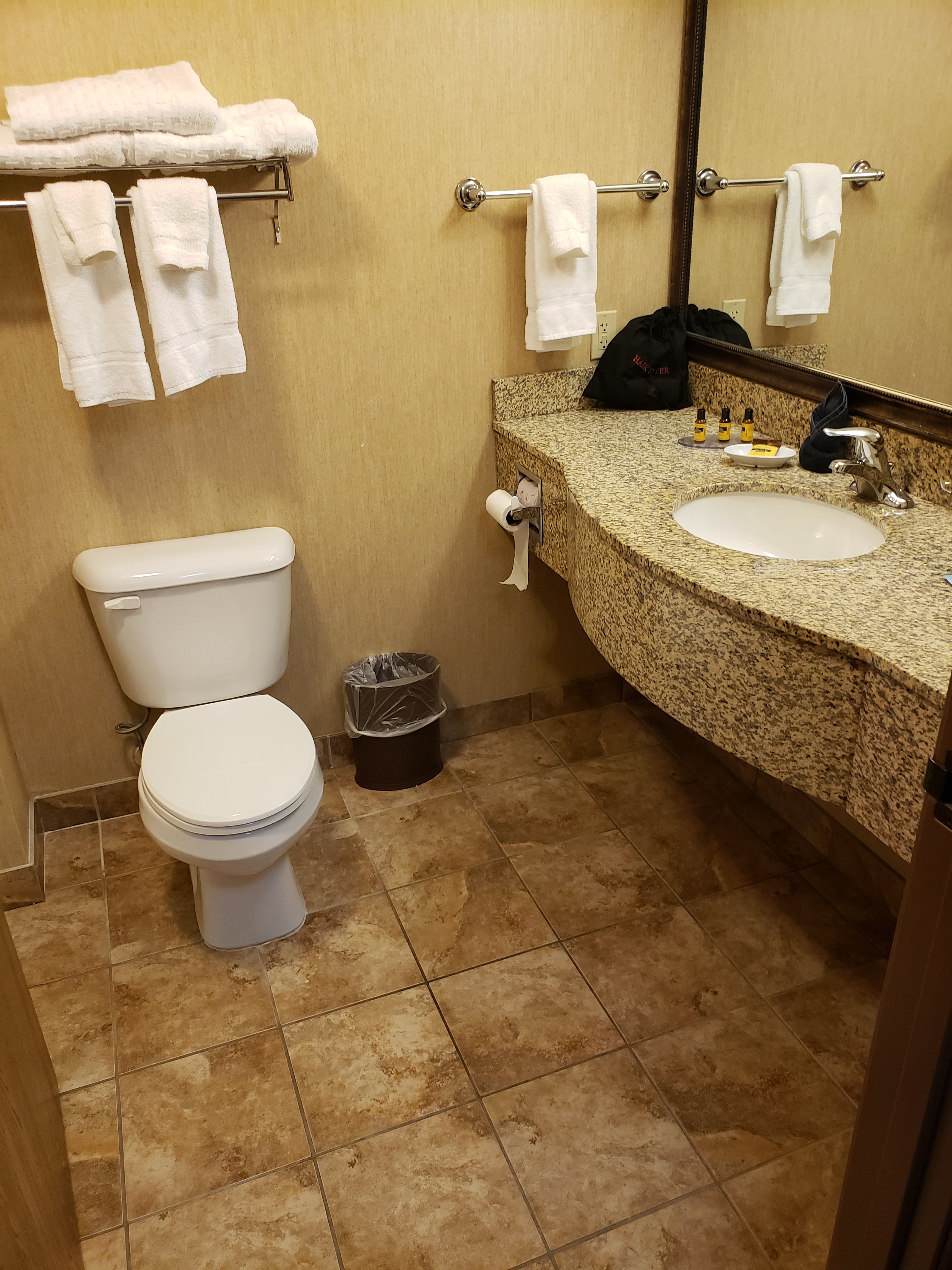 Best Western Plus Capital Inn-浴室
