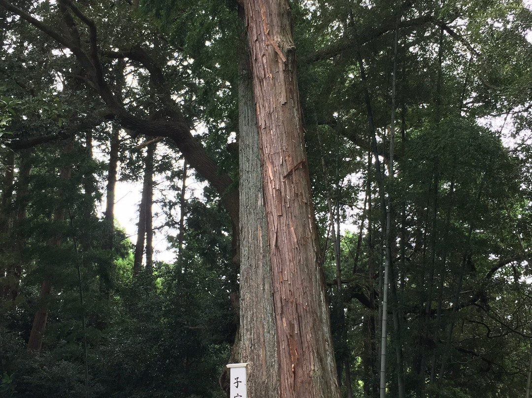 Sekiunin Temple-牧之原市必去景点