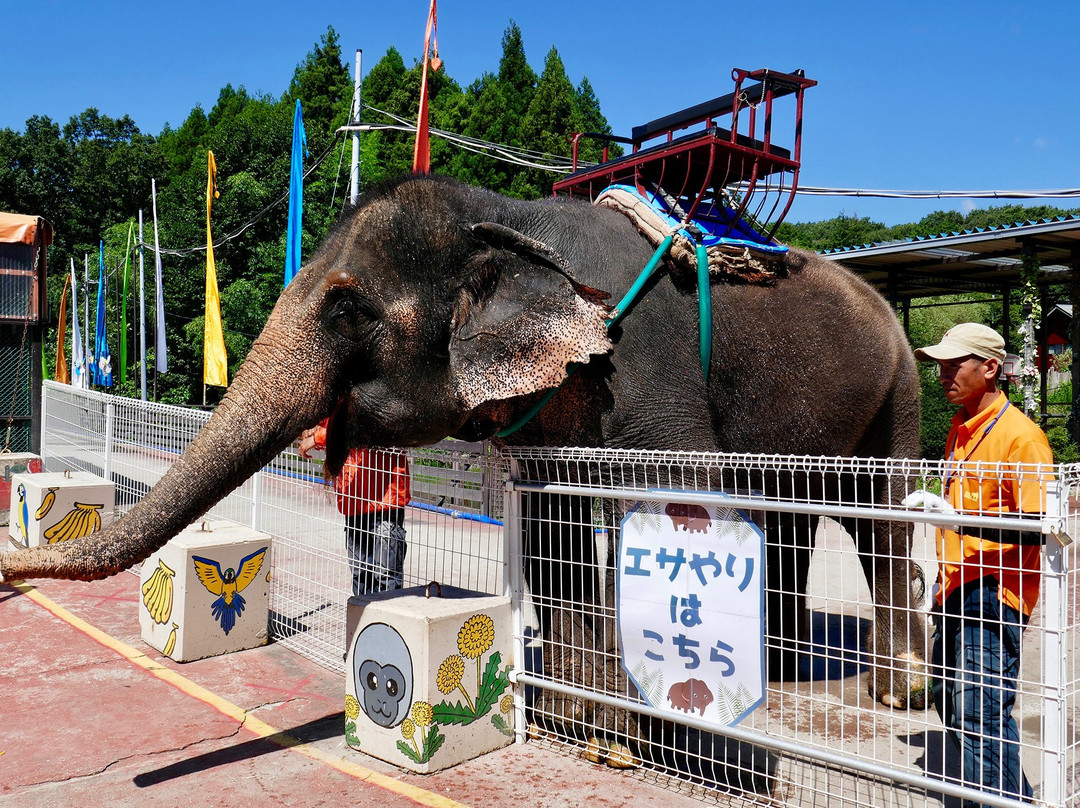 Nasu World Monkey Park-那须町必去景点