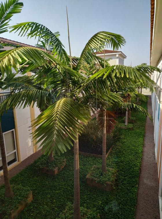 Hotel Vitória Express Dom Pedro-浴室