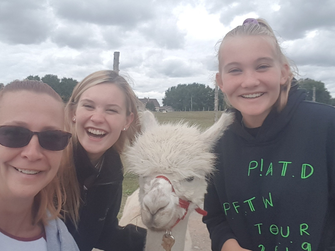 Verger Champetre - Gite & Compagnie-Granby必去景点