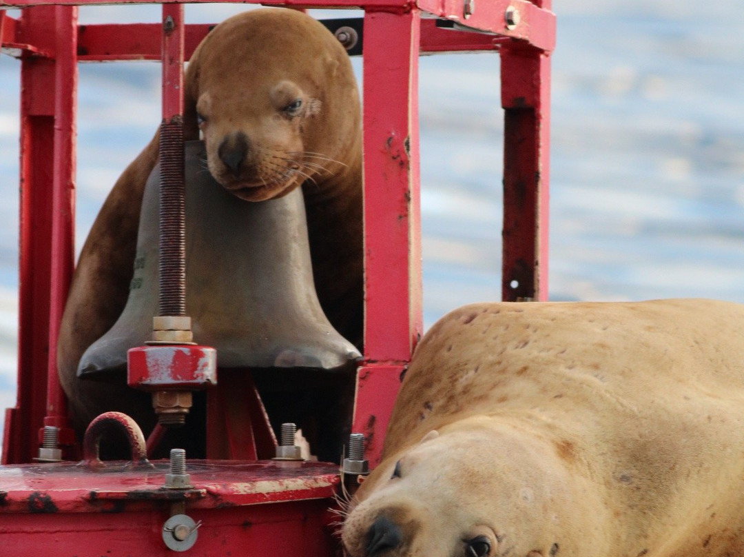 Wooshkeetaan Tours-胡纳必去景点