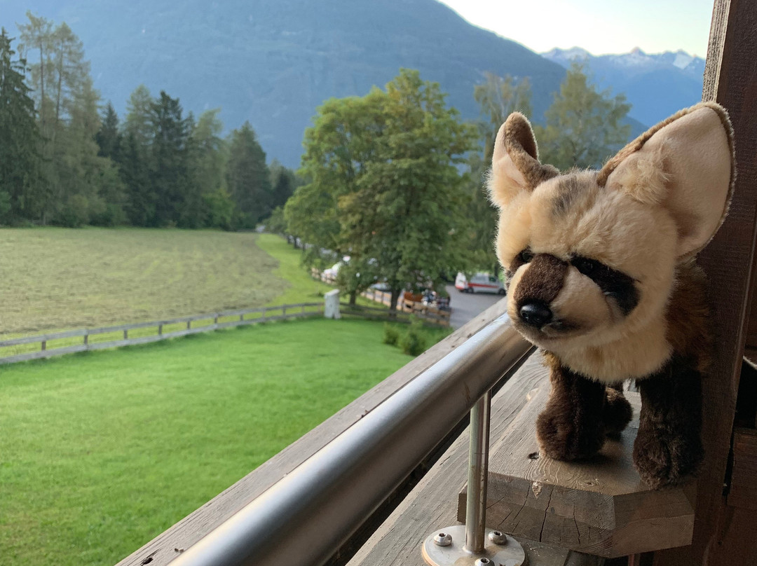 Alpenhotel Linserhof主图