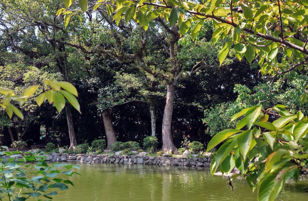 Munakata Grand Shrine Shimpokan景点图片