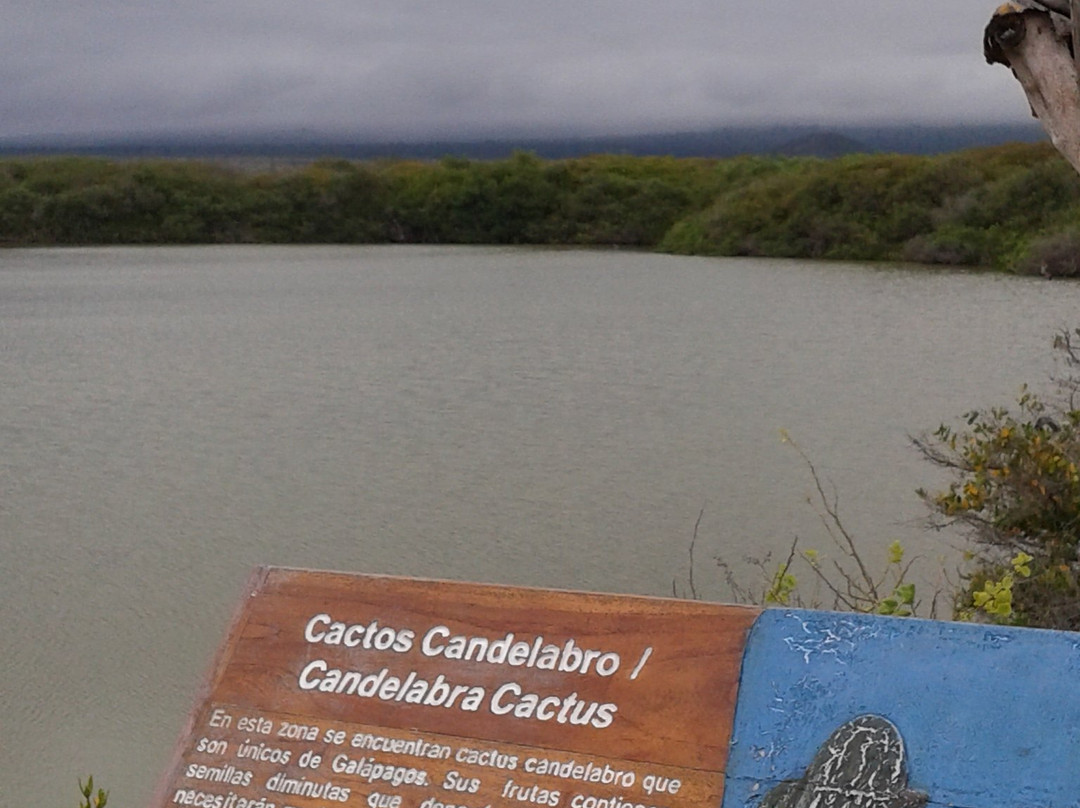 Mirador los tunos-维里亚米尔港必去景点