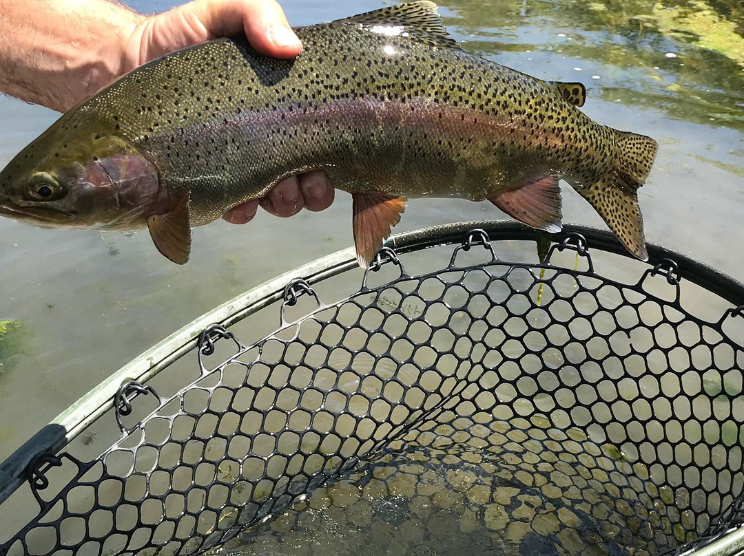 Drift On The Fly-Grass Valley必去景点