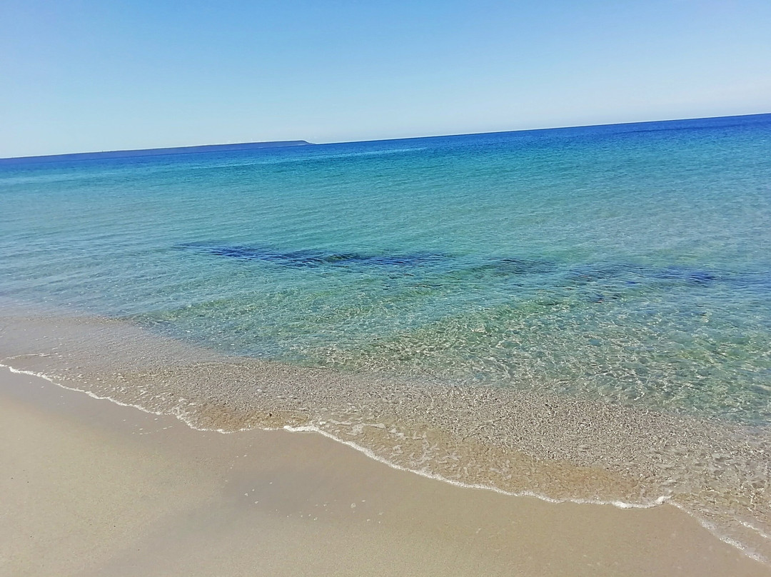 L'Oasi del Relax主图