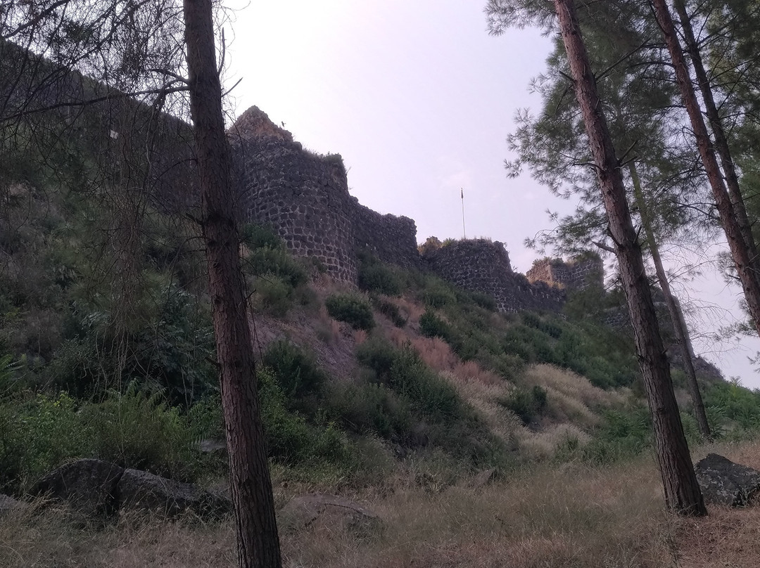 Toprakkale Kalesi景点图片