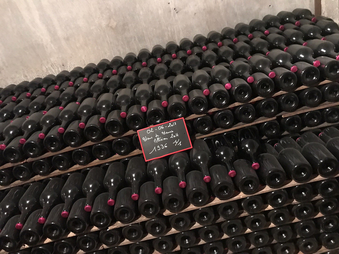 Champagne A. Viot et Fils景点图片