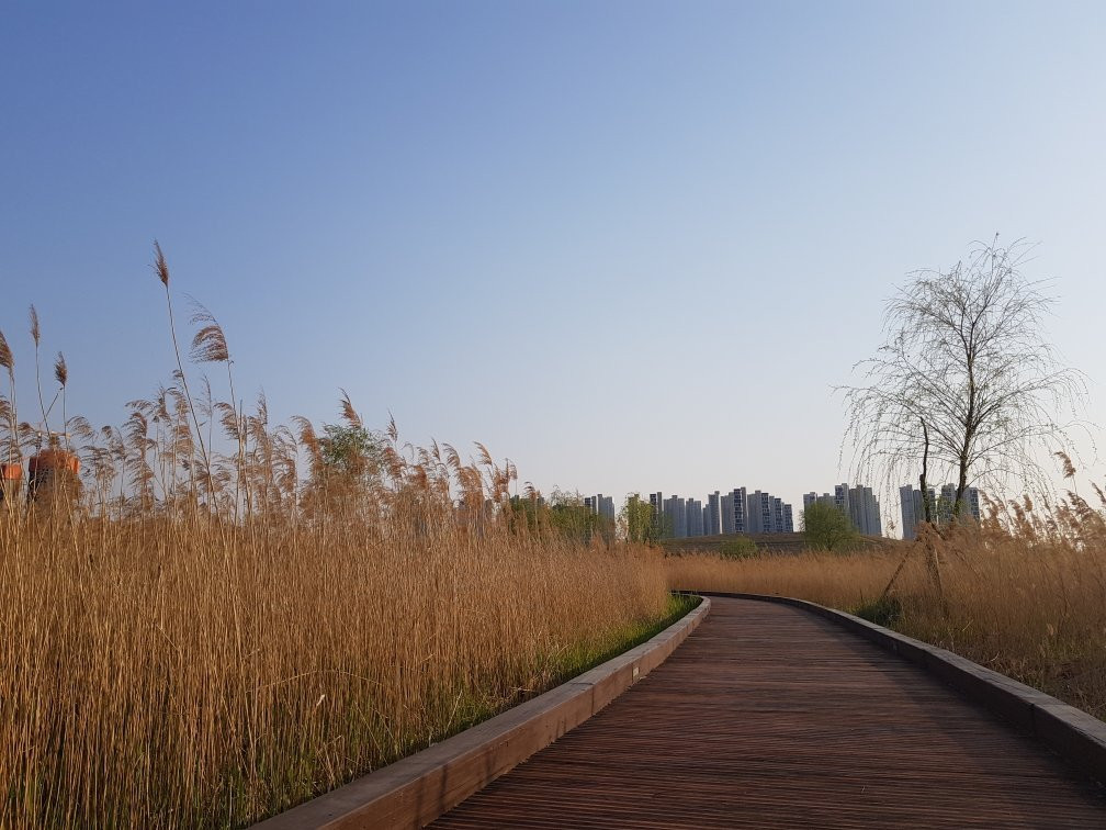 Baegot Hanul Park-始兴市必去景点