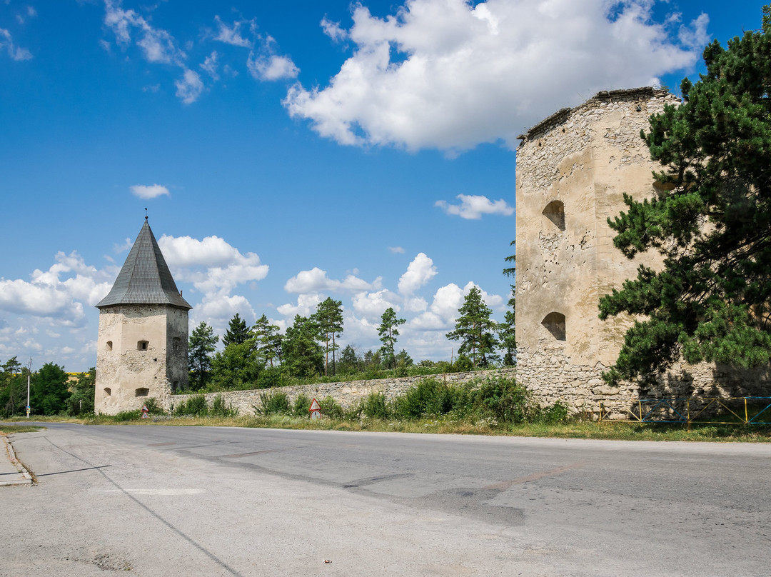 Castle Ruins at Kryvche-Kryvche必去景点