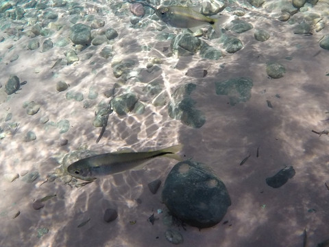 Chapada Off Road-Chapada dos Guimaraes必去景点